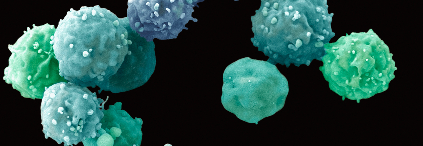 Educación, Investigación y Desarrollo - Equilab Científica